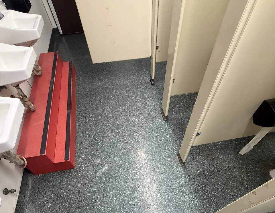 Seamless flake floor in a restroom